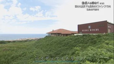 能登ワインとハイディワイナリーの復興への軌跡：震災からの挑戦と未来への希望？被災からの復興と未来への挑戦：能登ワインとハイディワイナリー