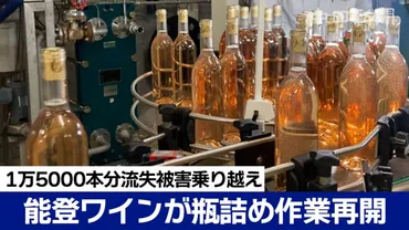 能登ワインが瓶詰め作業再開 1万5000本分流失被害乗り越え：北陸中日新聞Web