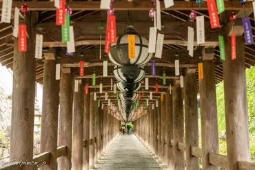 長谷寺の風鈴回廊へ〜涼やかな風鈴の音が出迎えてくれました〜 