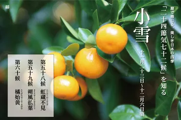 暦で感じる、美しき日本の四季「二十四節気七十二候」を知る Part 5． 