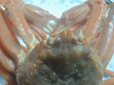 季節の暦二十四節気「小雪」〜そろそろ初雪が見える頃〜