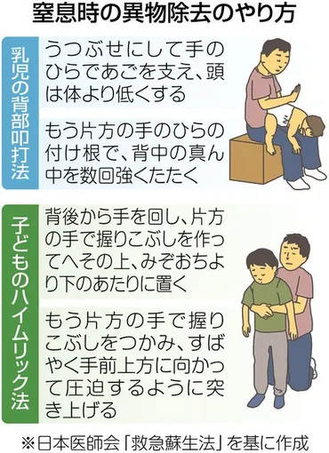 リンゴ原因の乳幼児の窒息事故相次ぐ 詰まりやすい原因や万一の対処法紹介：中日新聞Web