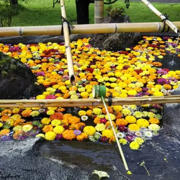 子連れ】世界一大きな「牛久大仏」とふれあい動物園 