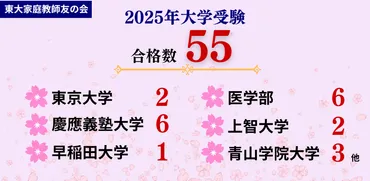 2025年最新】大学受験の合格実績（東大・早慶・医学部他） 
