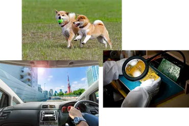 イベントカメラとは？革新的なセンサー技術の仕組みと未来への展望？イベントカメラが拓く、高精度・低遅延の世界