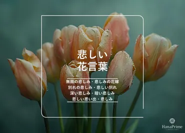 悲しい意味を持つ花と花言葉20選 