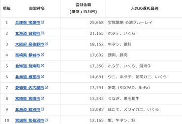 2025年発表】ふるさと納税 人気自治体ランキングベスト50とおすすめ返礼品を発表 