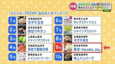 ふるさと納税〉人気ランキングで熊本の返礼品がTOP10 入り！返礼品を調査したら…今年の「世相」が見えてきた 
