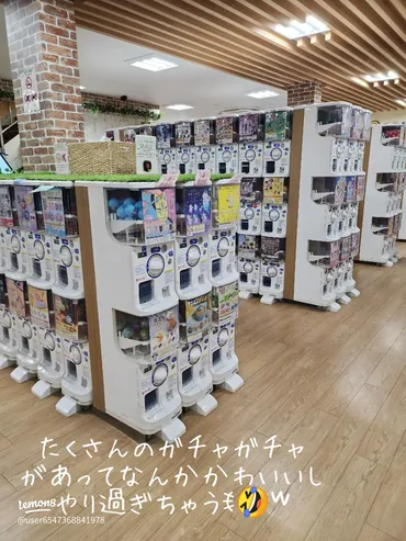 ガチャガチャ専門店の魅力と楽しみ方
