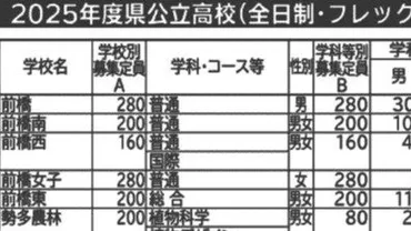 群馬県高校入試はどうなる？倍率低下と教育改革の行方？群馬県公立高校倍率1倍割れ！少子化と教育改革がもたらす変化とは