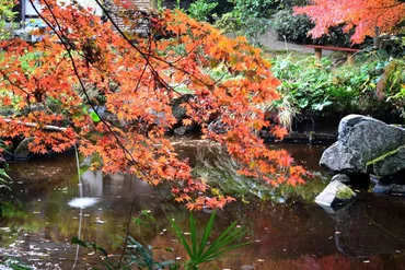 久良岐公園の紅葉