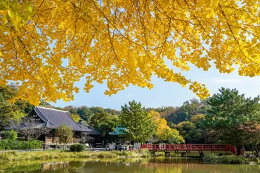 2025晩秋の横浜金沢 紅葉＆黄葉スポット5選【称名寺・金沢文庫・金沢八景】