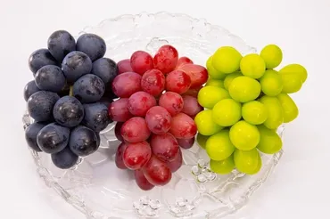 銀座NAGANO 秋の味覚イベント徹底解説！旬のぶどう、新米、ヌーボーとは？銀座NAGANO 秋のイベント情報：ぶどう狩り、新米試食会、NAGANOヌーボー解禁