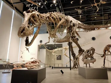 長崎市恐竜博物館」がNEWオープン！世界最大級のティラノサウルスの全身骨格レプリカが見られる！ 