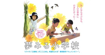 「きのくに子どもの村学園」とは？自由な学校でのびのび育つ子どもたち？宿題、テスト、時間割なし！子どもの個性を育む自由な学び舎