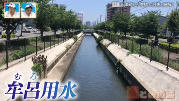豊橋 水上ビル：闇市から生まれた奇跡の建築物、その歴史と再生への道を探る？水上ビル：歴史が生んだレトロな魅力と、地域を繋ぐ新たな価値