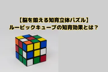 脳を鍛える立体パズル】ルービックキューブの知育効果とは？ 