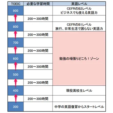 語学学校は何ヶ月？】TOEIC400の人が語学学校に通う留学の目安期間 