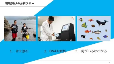 環境DNA分析、生物多様性調査の未来を拓く？水からわかる生態系、環境DNA分析の最前線