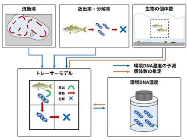 一杯の水でわかる生物分布・環境DNA調査のパイオニア 