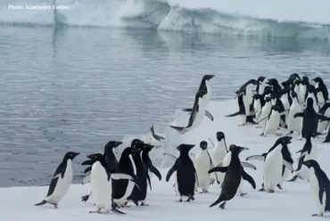 南極に迫る気候危機 