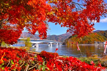 横浜の紅葉スポット2024年版！おすすめの場所は？（横浜 紅葉）秋の横浜を彩る紅葉スポット、見頃と楽しみ方