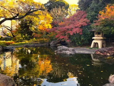 掃部山（かもんやま）公園」に行ってきました！和風庭園の紅葉（もみじ）が赤く色づいてます！桜木町駅から徒歩約10分の駅近公園 。和の雰囲気漂う、歴史の深い自然豊かな公園です！ 