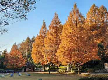 横浜市立金沢動物園の紅葉(神奈川県) 