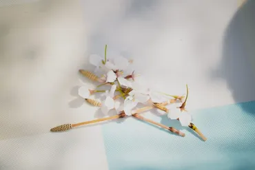 俵万智さんの子育て短歌：子どもとの時間、そして未来へ（子育て、短歌、俵万智）？歌人・俵万智が見つめる子育て：短歌とエッセイに綴る親子の絆