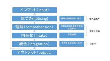 第二言語習得研究から考える効果的な英語学習方法とは！？ 