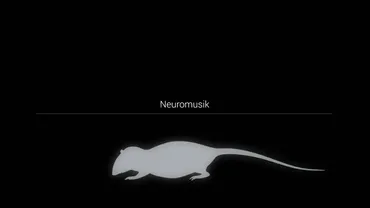 くすぐり、セルフくすぐり、面映ゆさとは？科学で迫る“こそばゆい”感情の謎？くすぐりの科学：脳科学、社会性、そして快適な施術