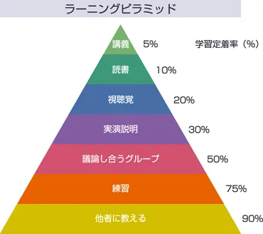 英語学習】忙しい社会人が絶対に忘れない６つの記憶の仕組み 