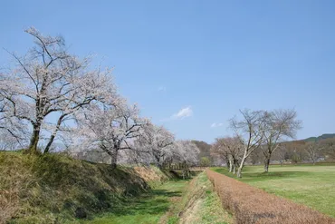 九戸村の魅力と2026年旅行計画！見どころ満載？九戸村の自然、産業、観光スポットをご紹介