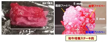 3Dプリンターで「霜降り培養肉」を作製 阪大、凸版印刷など 