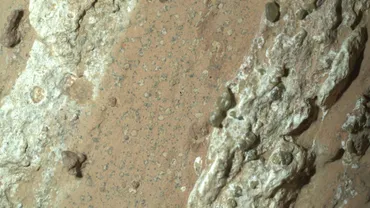 NASAの火星探査機パーサヴィアランスが「生命の痕跡」を示唆する岩石を発見 