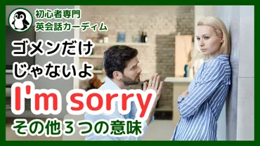 「I'm sorry」ってどんな意味？英語で悲しみを伝える表現を徹底解説！(？マーク)英語で悲しみを表現する多様なフレーズと、状況に応じた使い分け