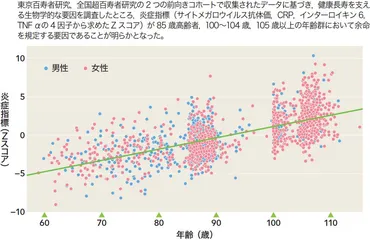 健康長寿を実現するためのヒントを探す（新井康通，三浦恭子，石谷太） 