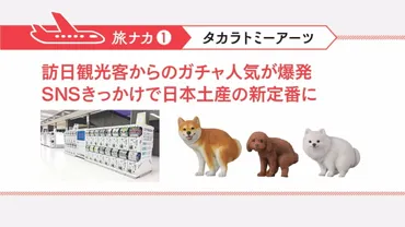 カプセルトイのインバウンド人気に迫る きっかけはSNSの開封動画