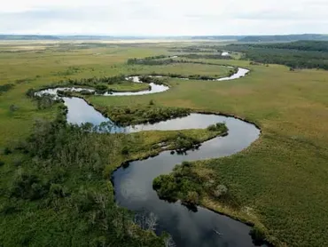 俵万智の短歌『蛇行する川』に込められた意味とは？短歌から読み解く人生観？俵万智『蛇行する川』短歌の世界