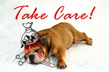 お大事に」はTake careだけじゃない!英語フレーズまとめ