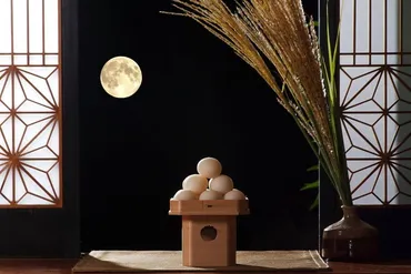 月食観察ガイド(月食、天体ショー、観察方法、2024年、2025年)月食の見方と楽しみ方：2024年・2025年の観測チャンスを逃さない！