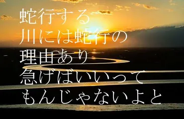 蛇行する川には蛇行の理由あり急げばいいってもんじゃないよと 俵万智 意味と解説