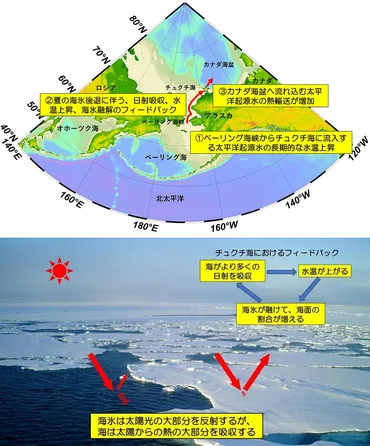 北極海の異変？〜温暖化と海洋熱輸送の変化、未来への影響を探る？北極海の温暖化と海洋熱輸送の増加
