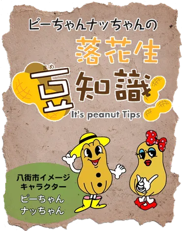 八街産落花生site 