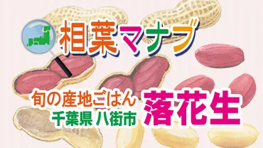 相葉マナブ】旬の産地ごはん「落花生」レシピまとめ(2023/10/1)