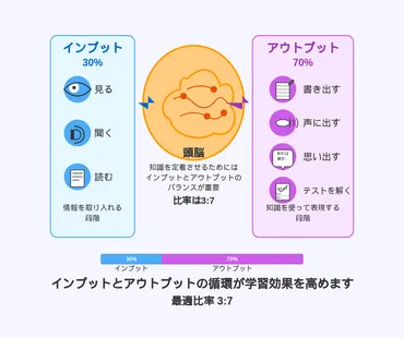 効果的な勉強法:記憶を定着させる「インプット:アウトプット」のバランス