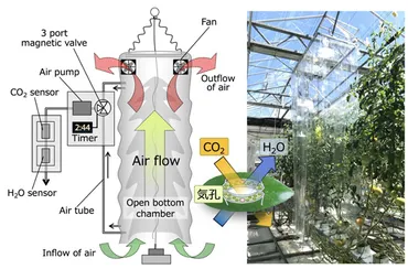 愛媛大、豊橋技術科学大と「グルタチオン」による高温ストレス耐性向上で共同研究 WAKU