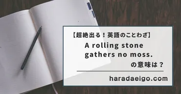 「転がる石に苔は生えぬ」ことわざの世界旅行！意味の違いや解釈を深掘り（イギリス、アメリカ、日本）？「a rolling stone gathers no moss」の多面的な意味と文化的な影響