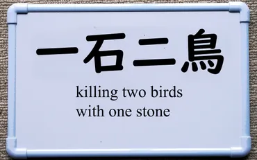 一石二鳥とは？：意味、語源、使い方を徹底解説！(得する？)効率アップのヒント：「一石二鳥」の活用術