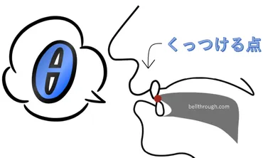 発音記号θのコツと注意点！イラストで口の形と読み方を学ぶ 